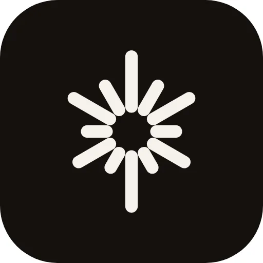 The app icon. Twelve rays, mirrored about the vertical axis.